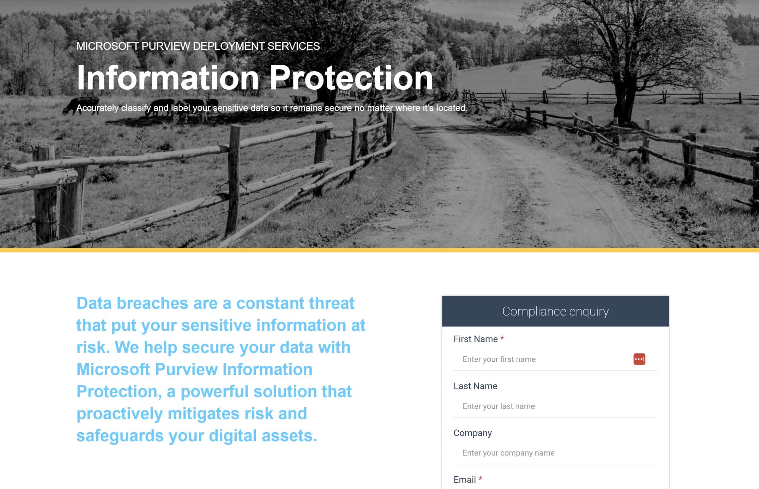 Microsoft Purview Information Protection